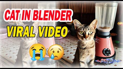 cat blender full video uncensored|cat gets blended full video.